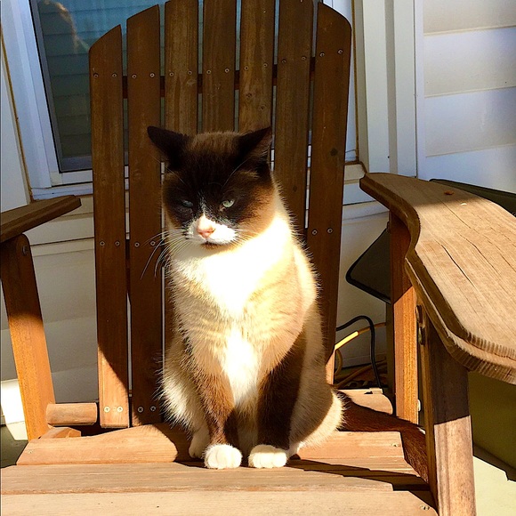 Meet your Posher, Danielle - Picture 3 of 10